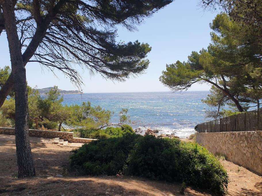 Les Geraniums, Bel Appartement Renove, Proche Plage Et Commerces La Seyne-sur-Mer Εξωτερικό φωτογραφία