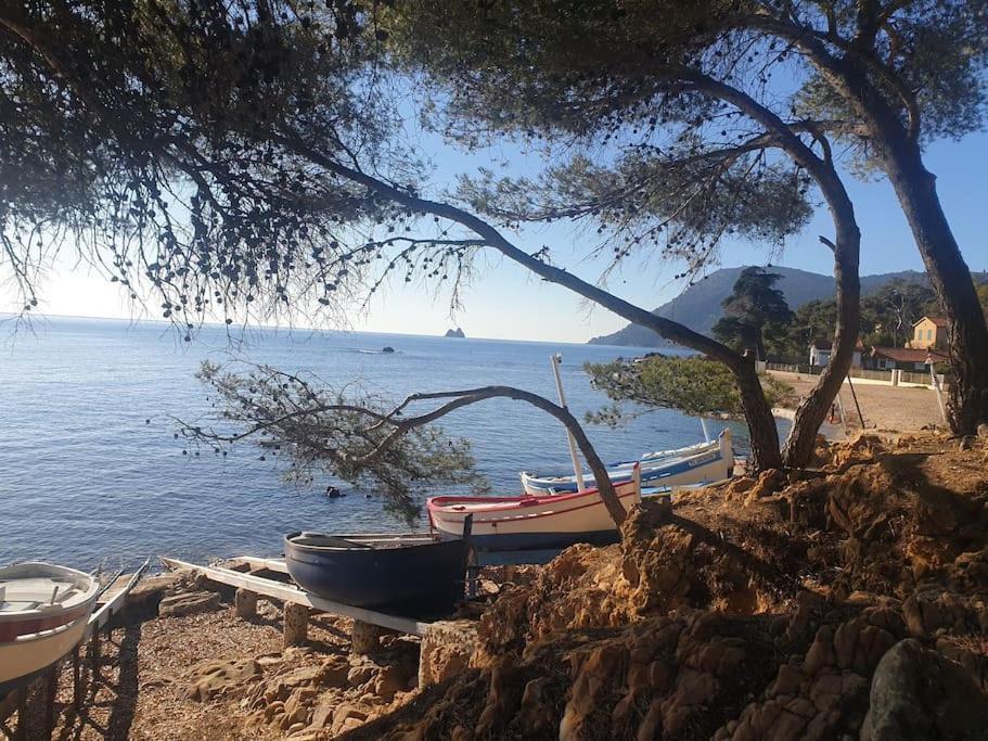 Les Geraniums, Bel Appartement Renove, Proche Plage Et Commerces La Seyne-sur-Mer Εξωτερικό φωτογραφία